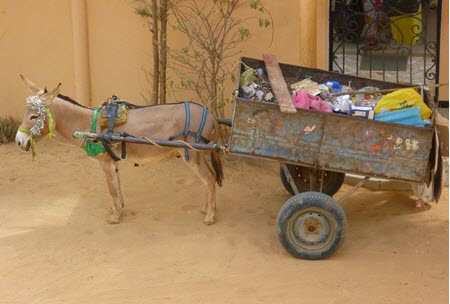 senegal